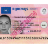 Netherlands driver's licence