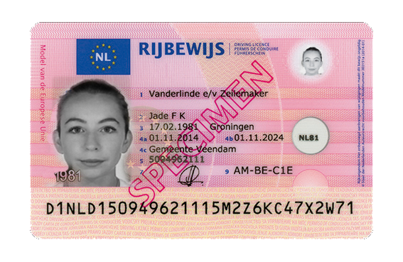 Netherlands driver's licence