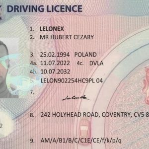 British drivers licence