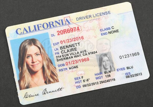 USA driver's licence